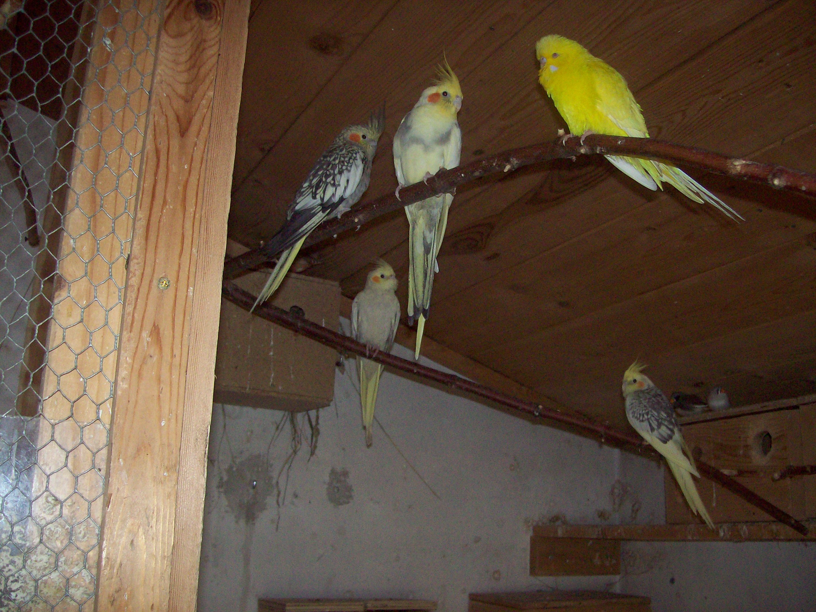 100_1086.JPG