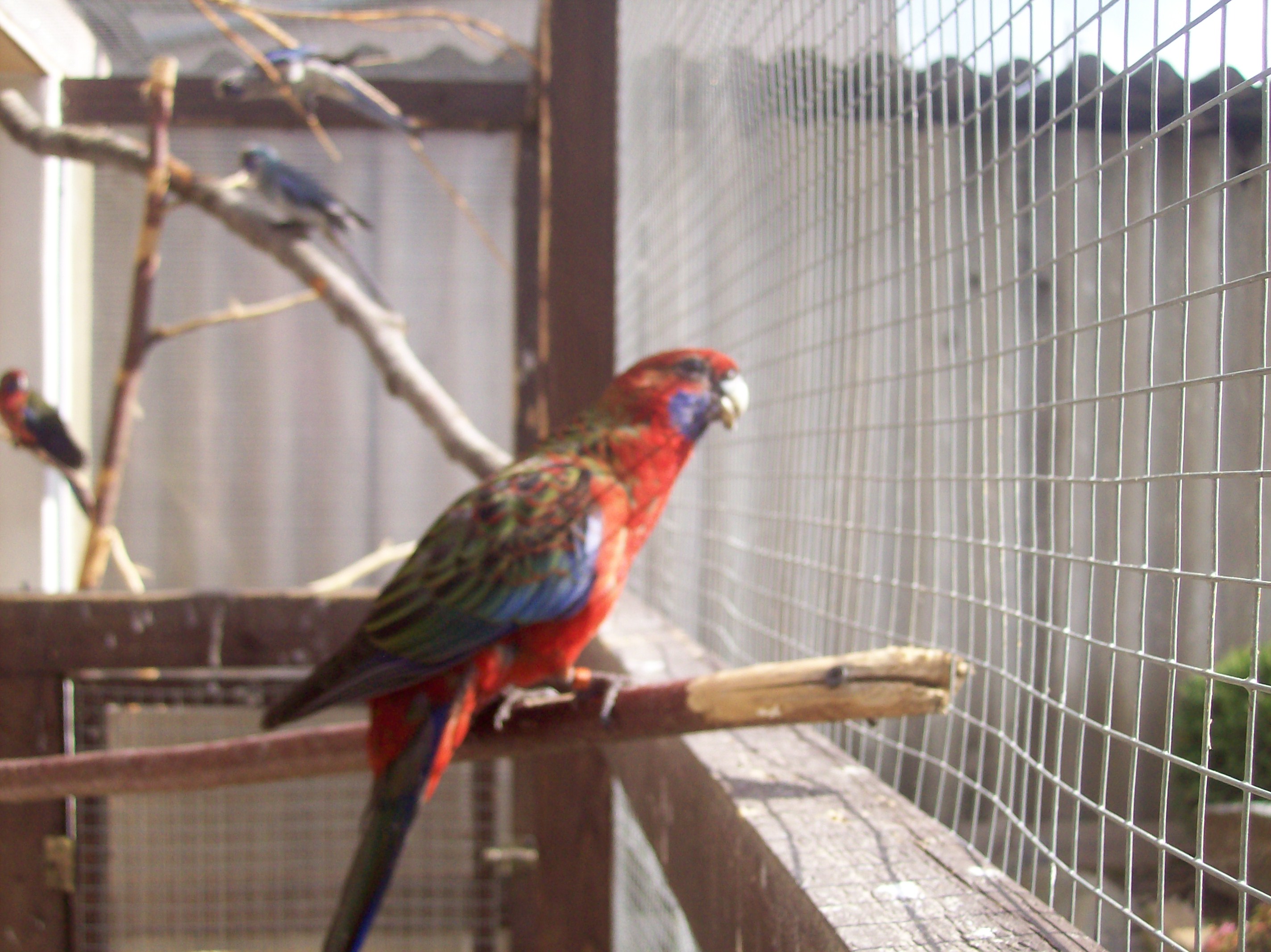 100_1015.JPG