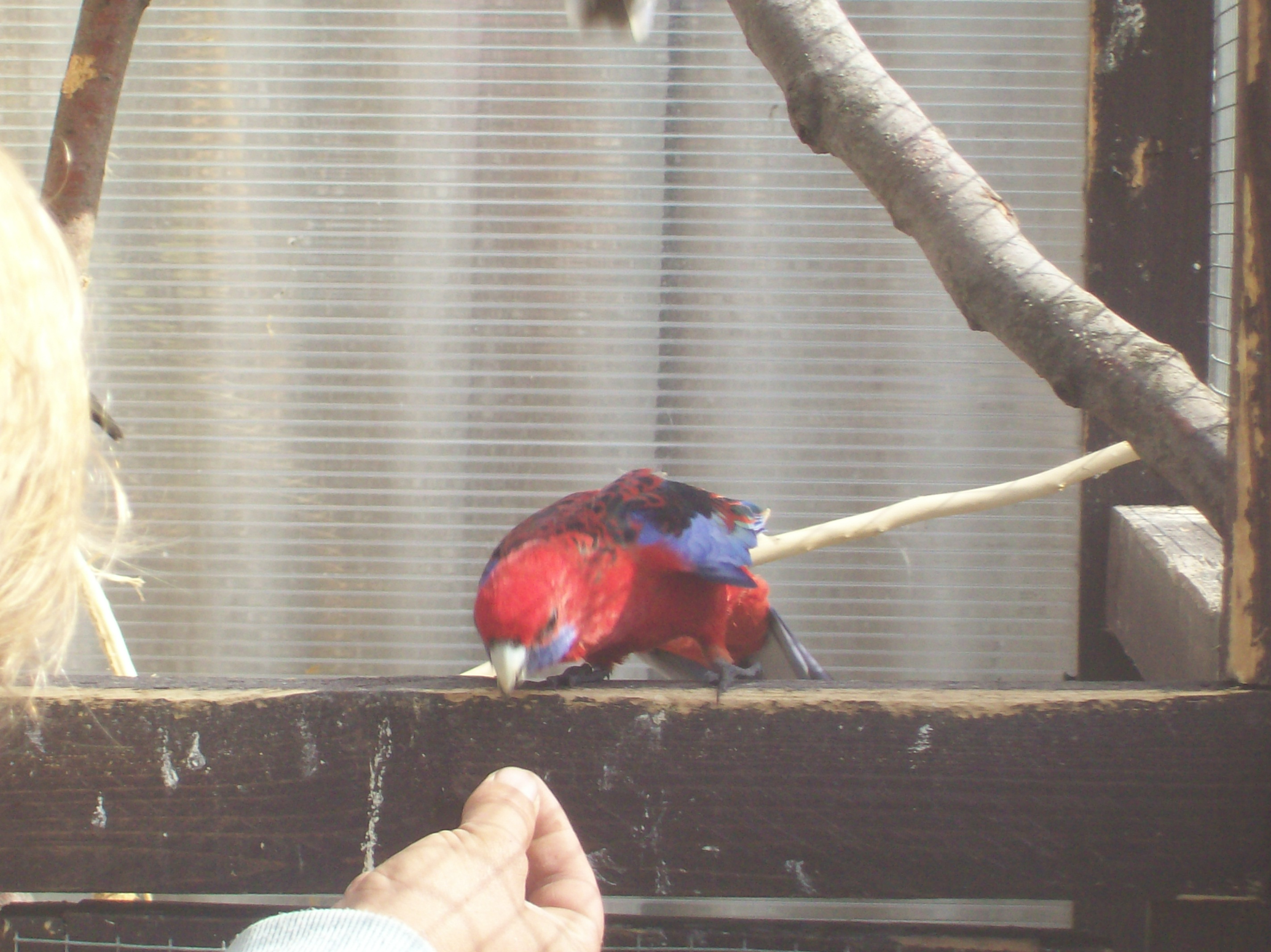 100_1019.JPG